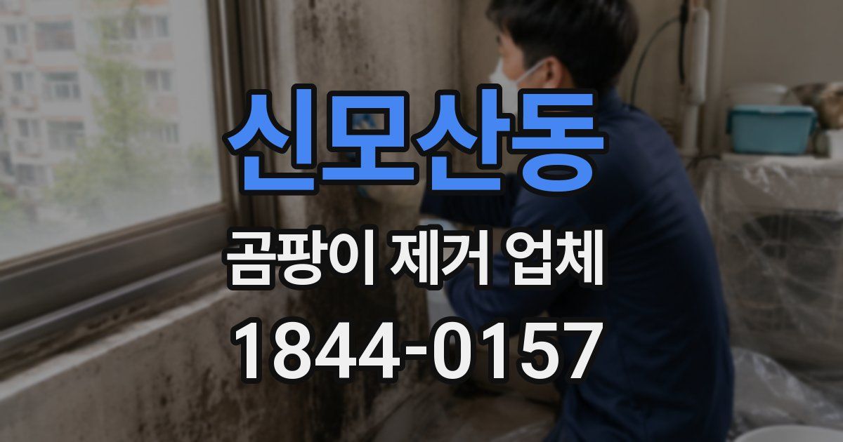 신모산동 곰팡이 제거 업체