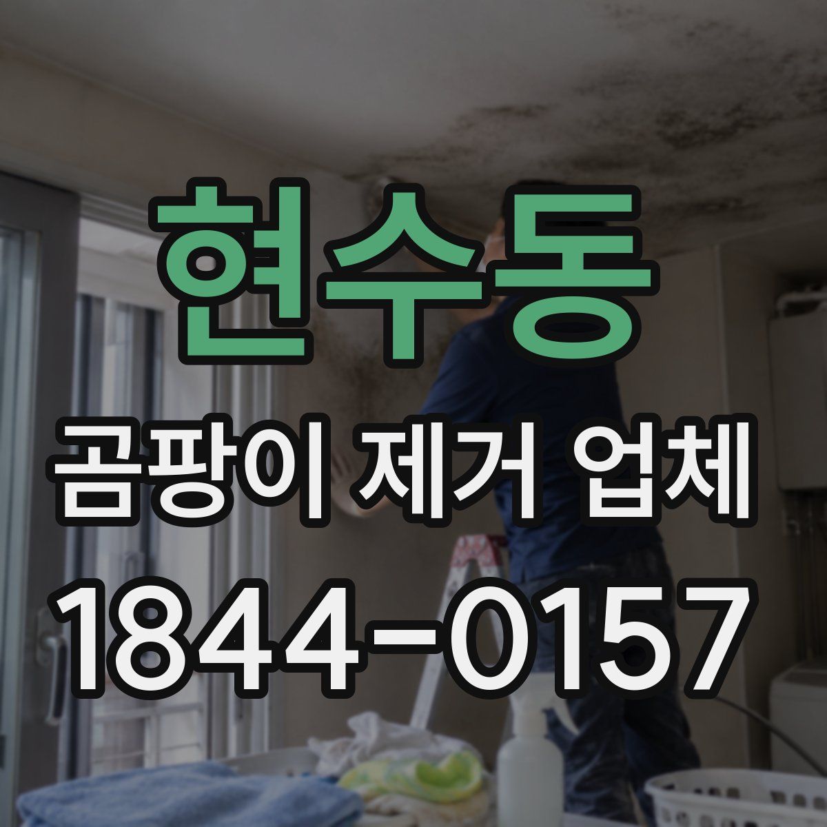 현수동 곰팡이 제거 업체