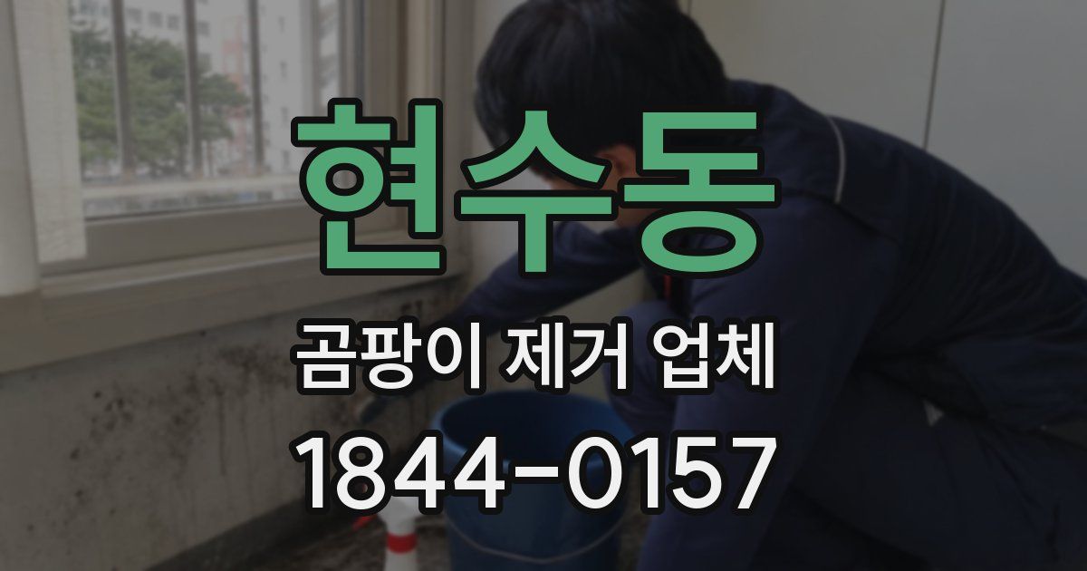 현수동 곰팡이 제거 업체