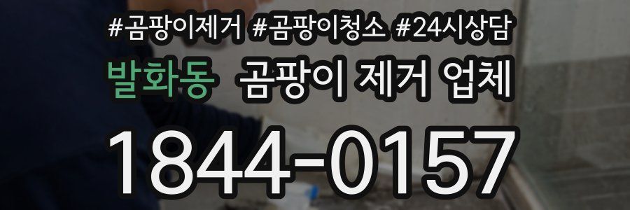 발화동 곰팡이 제거 업체