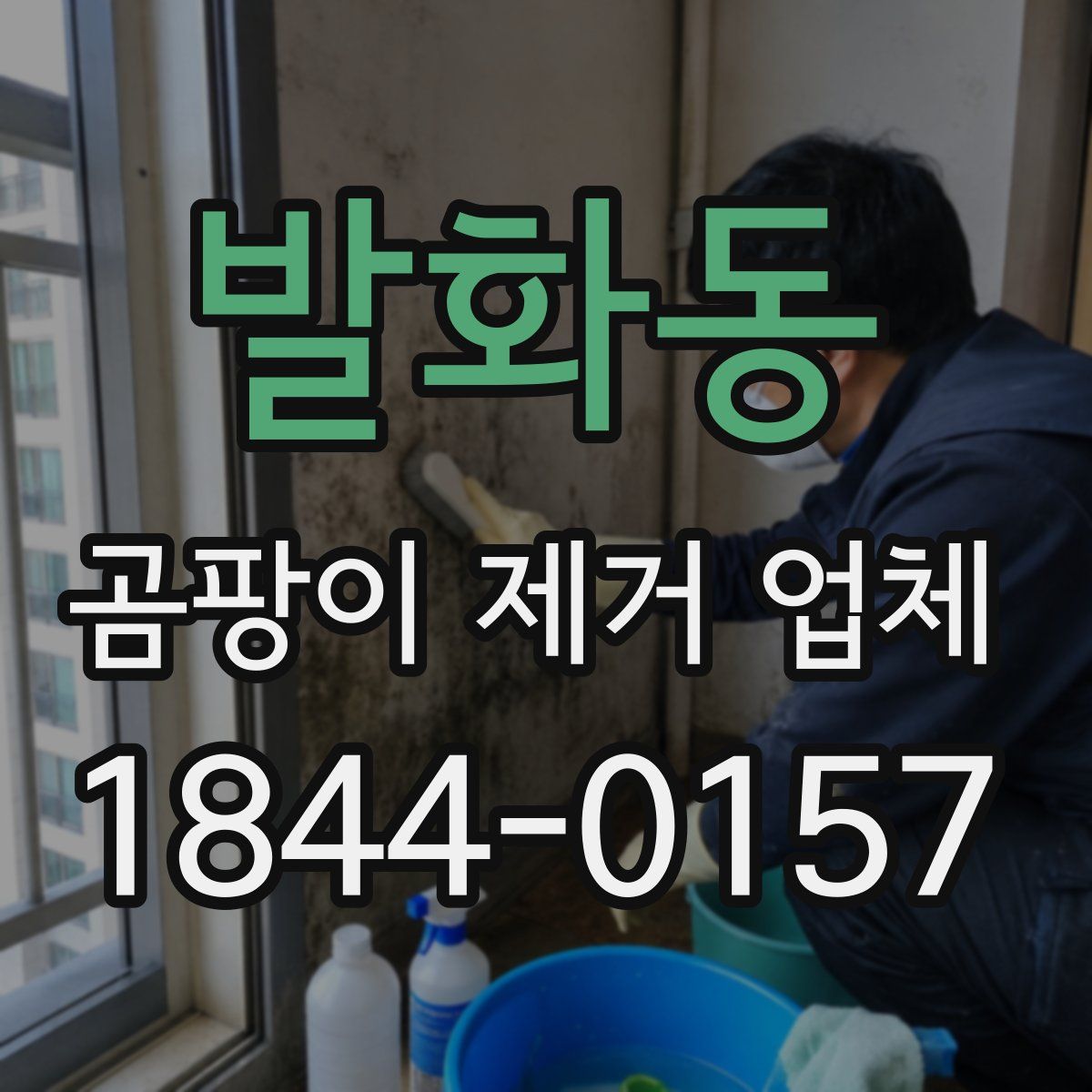 발화동 곰팡이 제거 업체