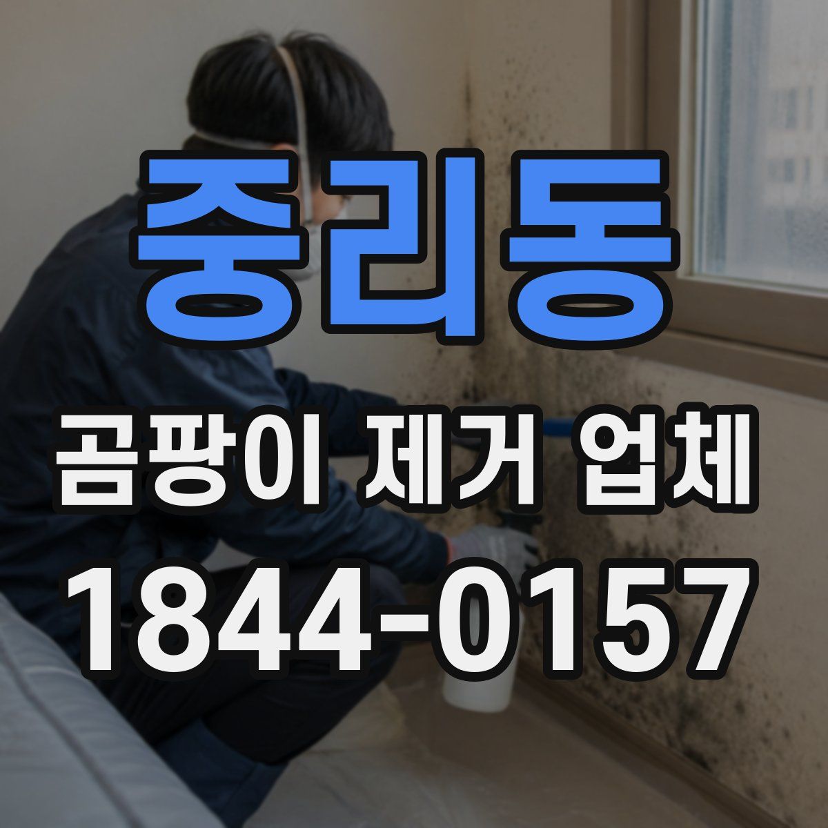 중리동 곰팡이 제거 업체