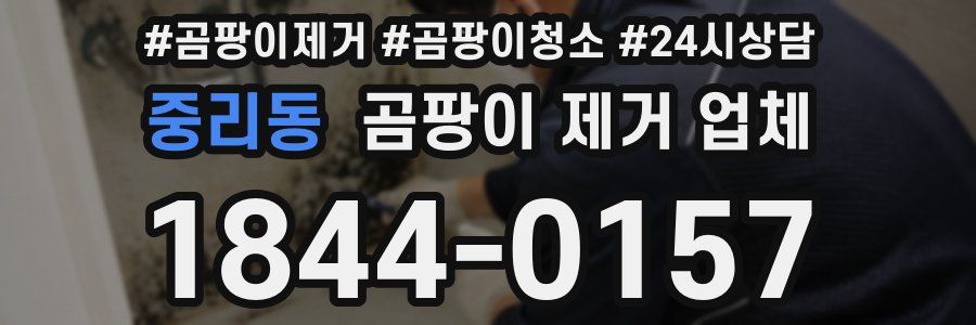 중리동 곰팡이 제거 업체