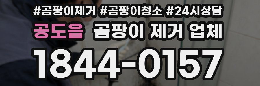 공도읍 곰팡이 제거 업체