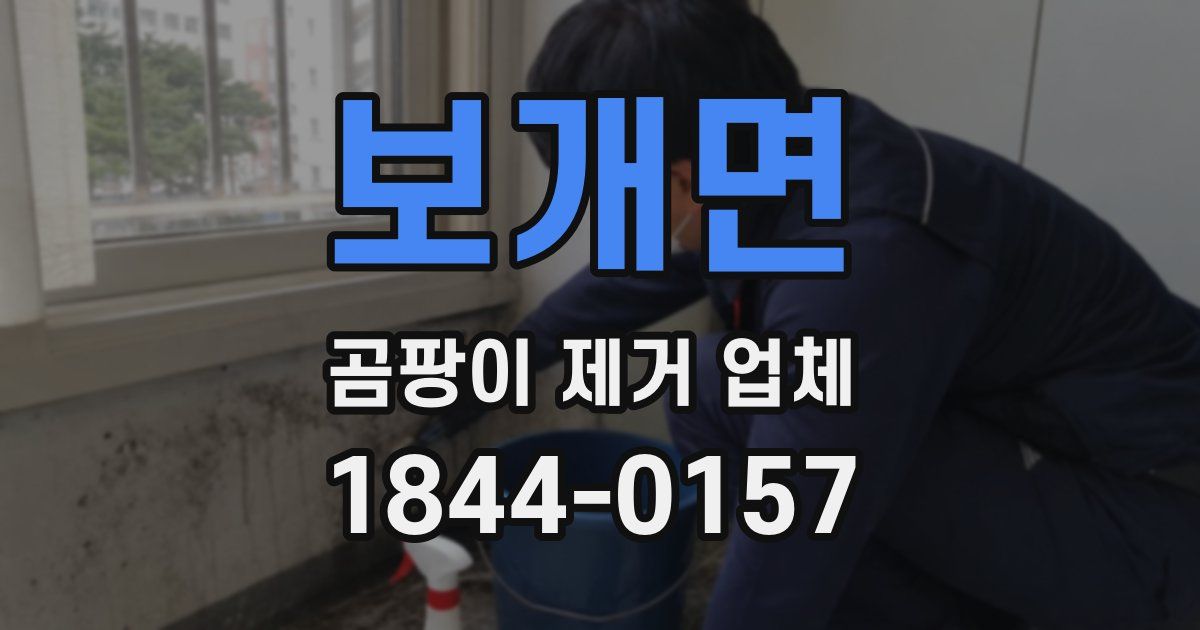 보개면 곰팡이 제거 업체