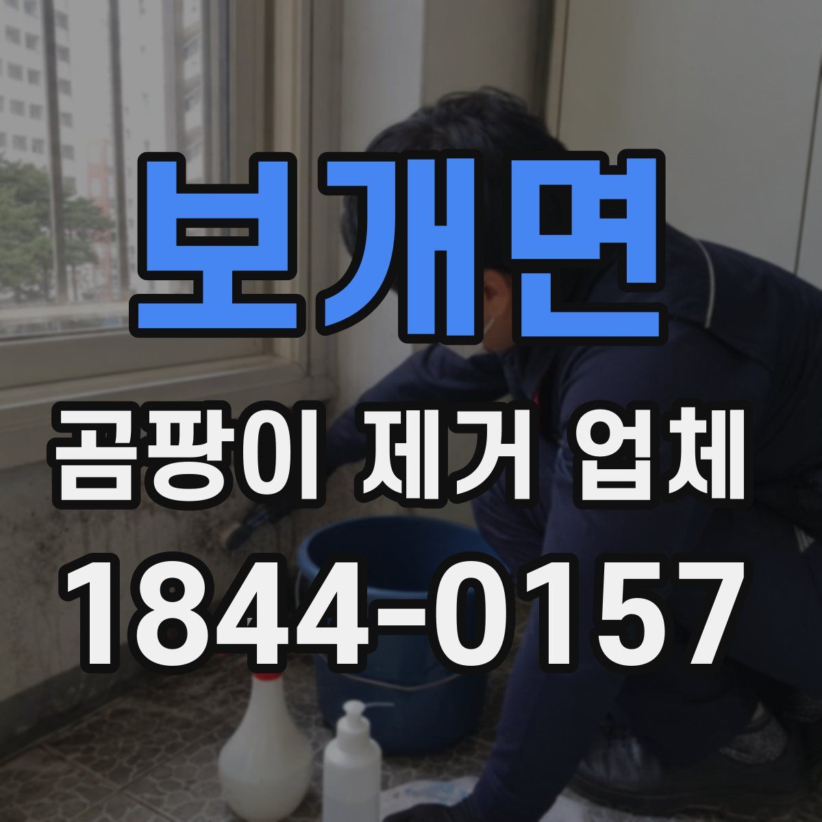 보개면 곰팡이 제거 업체