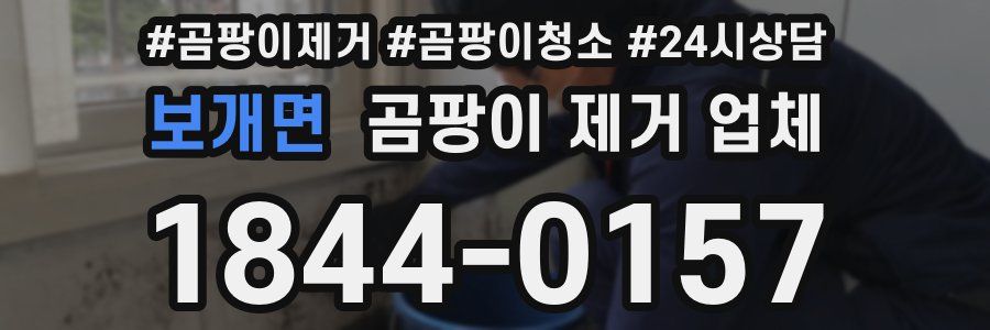 보개면 곰팡이 제거 업체