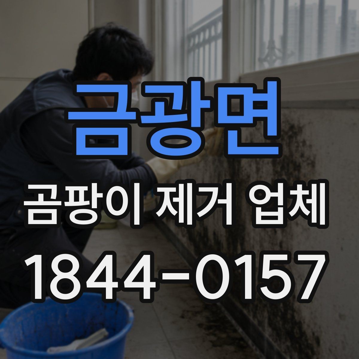 금광면 곰팡이 제거 업체 재발 흔적을 확인할 때 놓치기 쉬운 항목
