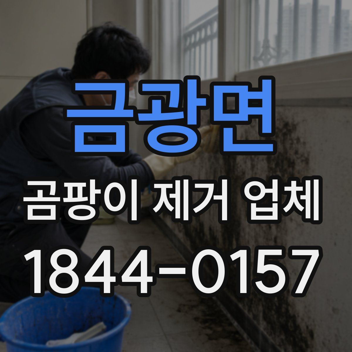 금광면 곰팡이 제거 업체