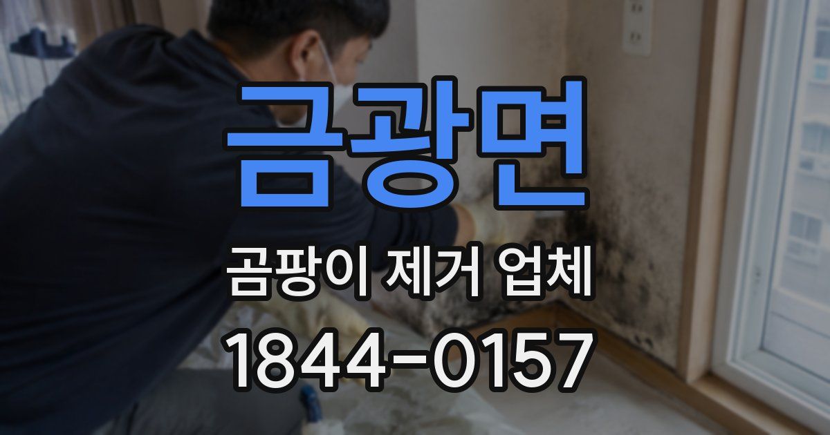 금광면 곰팡이 제거 업체