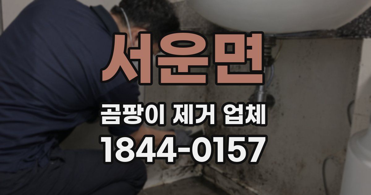 서운면 곰팡이 제거 업체
