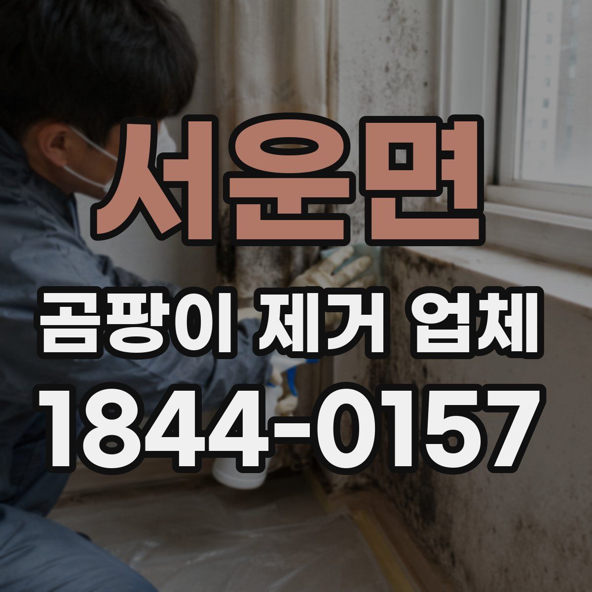 서운면 곰팡이 제거 업체