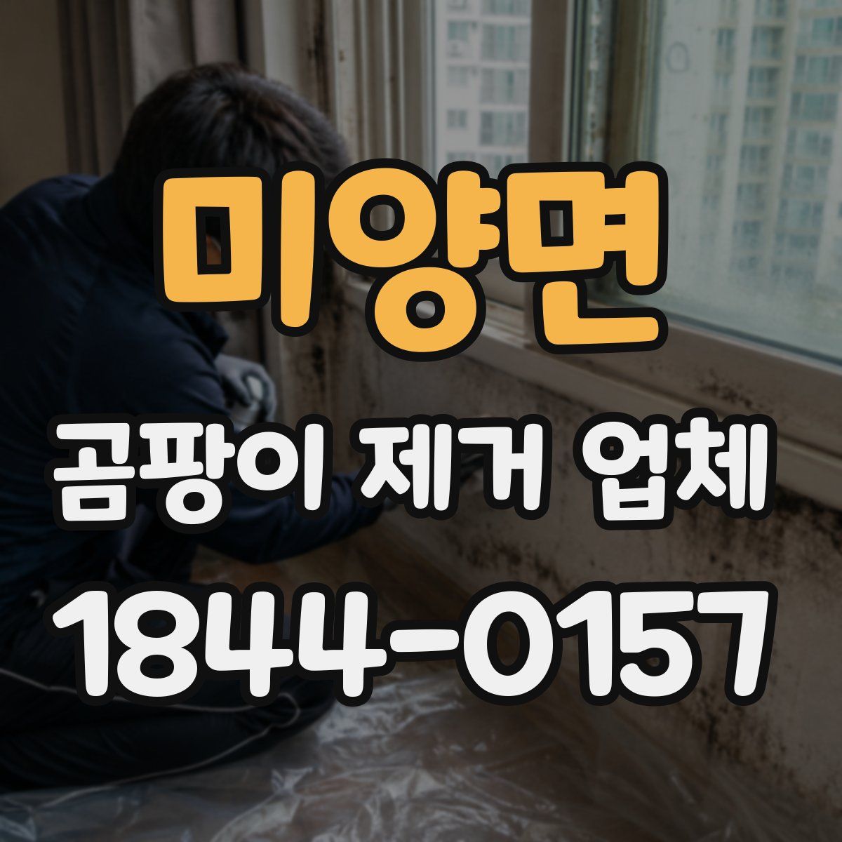 미양면 곰팡이 제거 업체