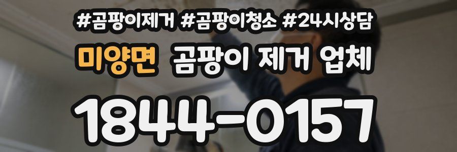 미양면 곰팡이 제거 업체