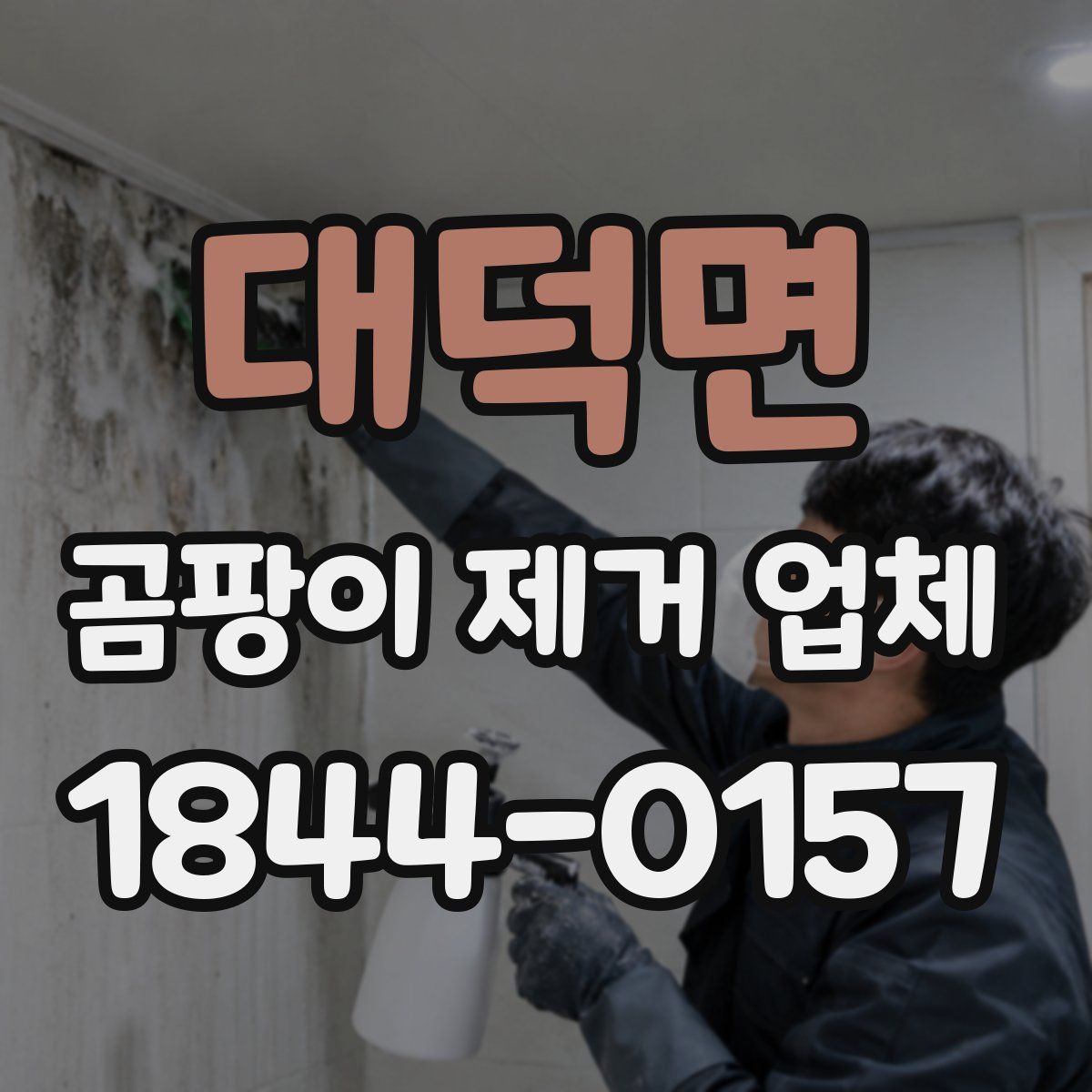 대덕면 곰팡이 제거 업체