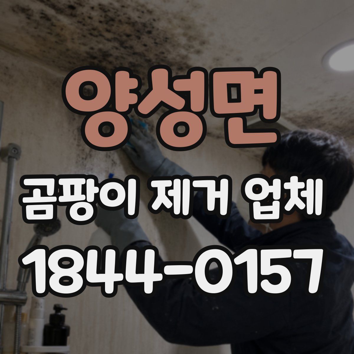 양성면 곰팡이 제거 업체