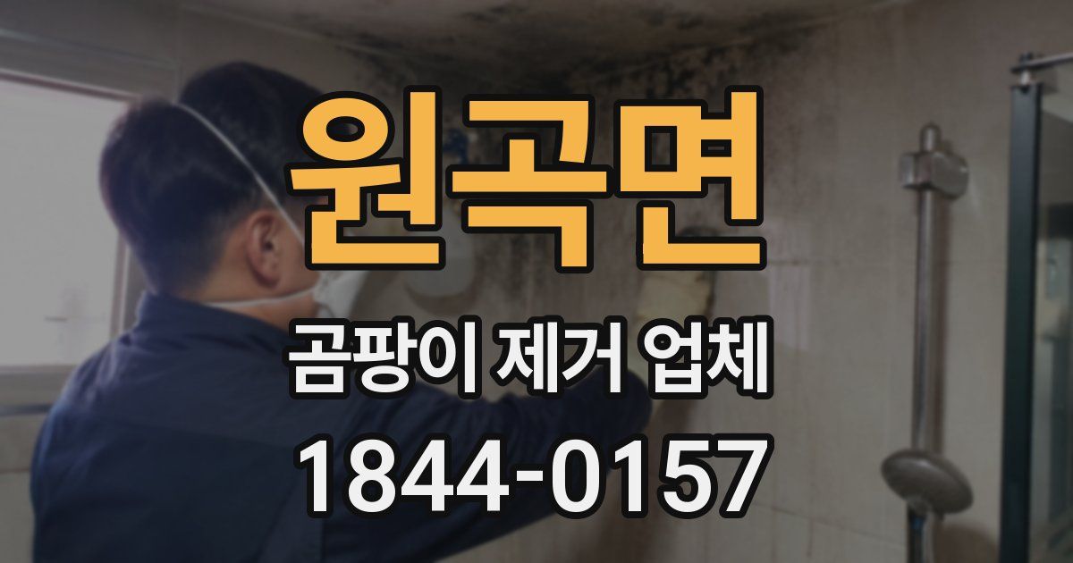 원곡면 곰팡이 제거 업체