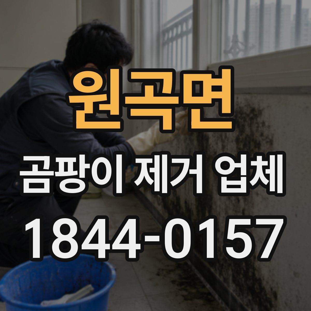 원곡면 곰팡이 제거 업체