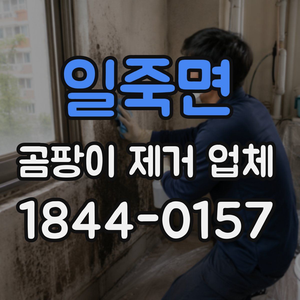 일죽면 곰팡이 제거 업체