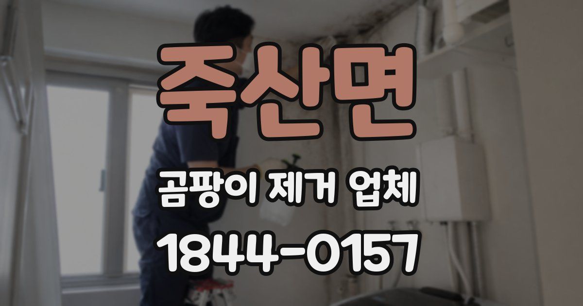 죽산면 곰팡이 제거 업체