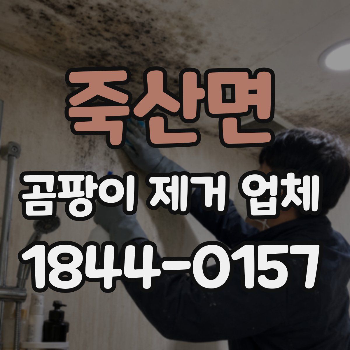 죽산면 곰팡이 제거 업체