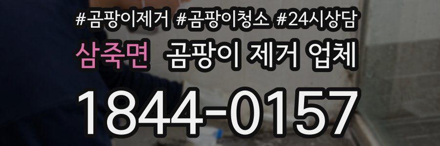 삼죽면 곰팡이 제거 업체