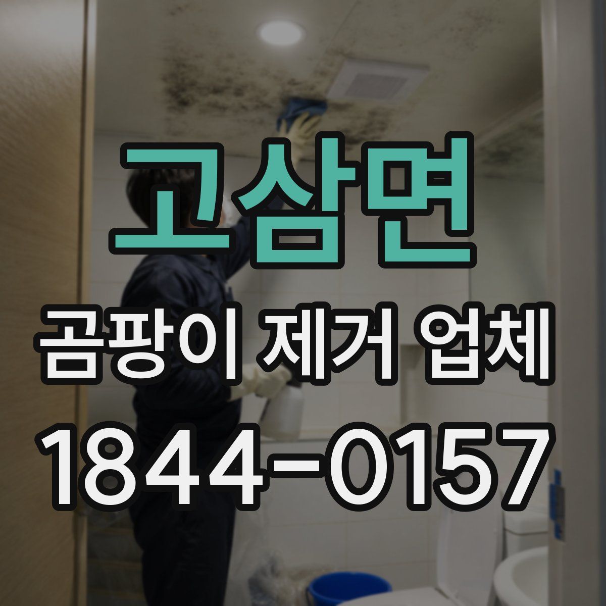 고삼면 곰팡이 제거 업체