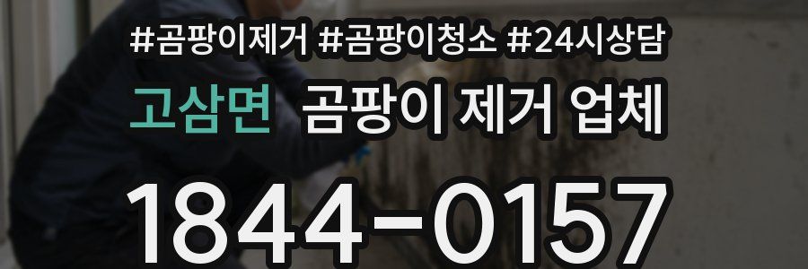 고삼면 곰팡이 제거 업체