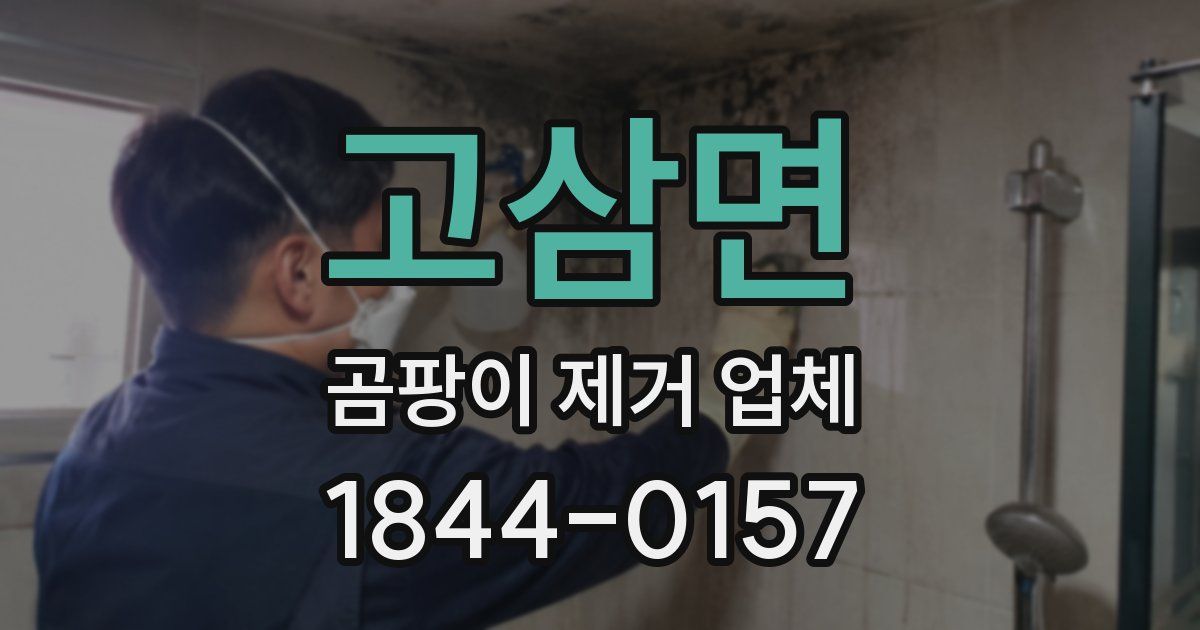 고삼면 곰팡이 제거 업체