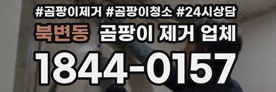 북변동 곰팡이 제거 업체