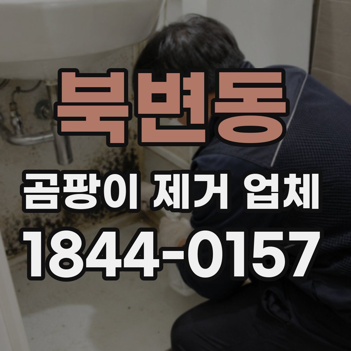 북변동 곰팡이 제거 업체