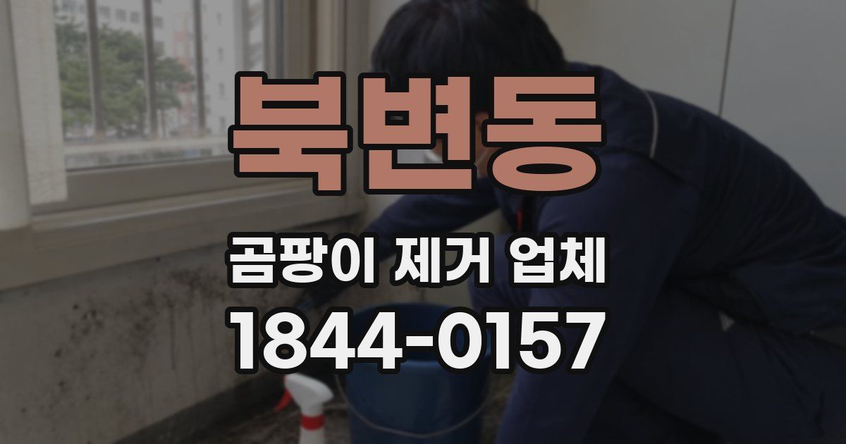 북변동 곰팡이 제거 업체