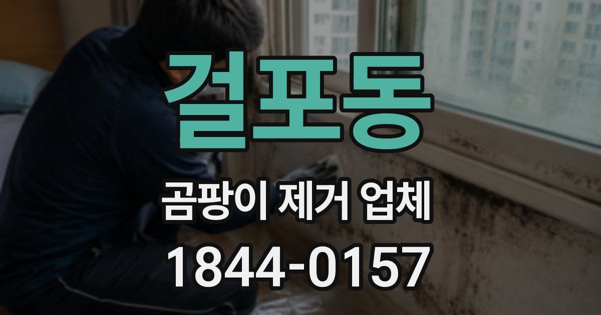 걸포동 곰팡이 제거 업체