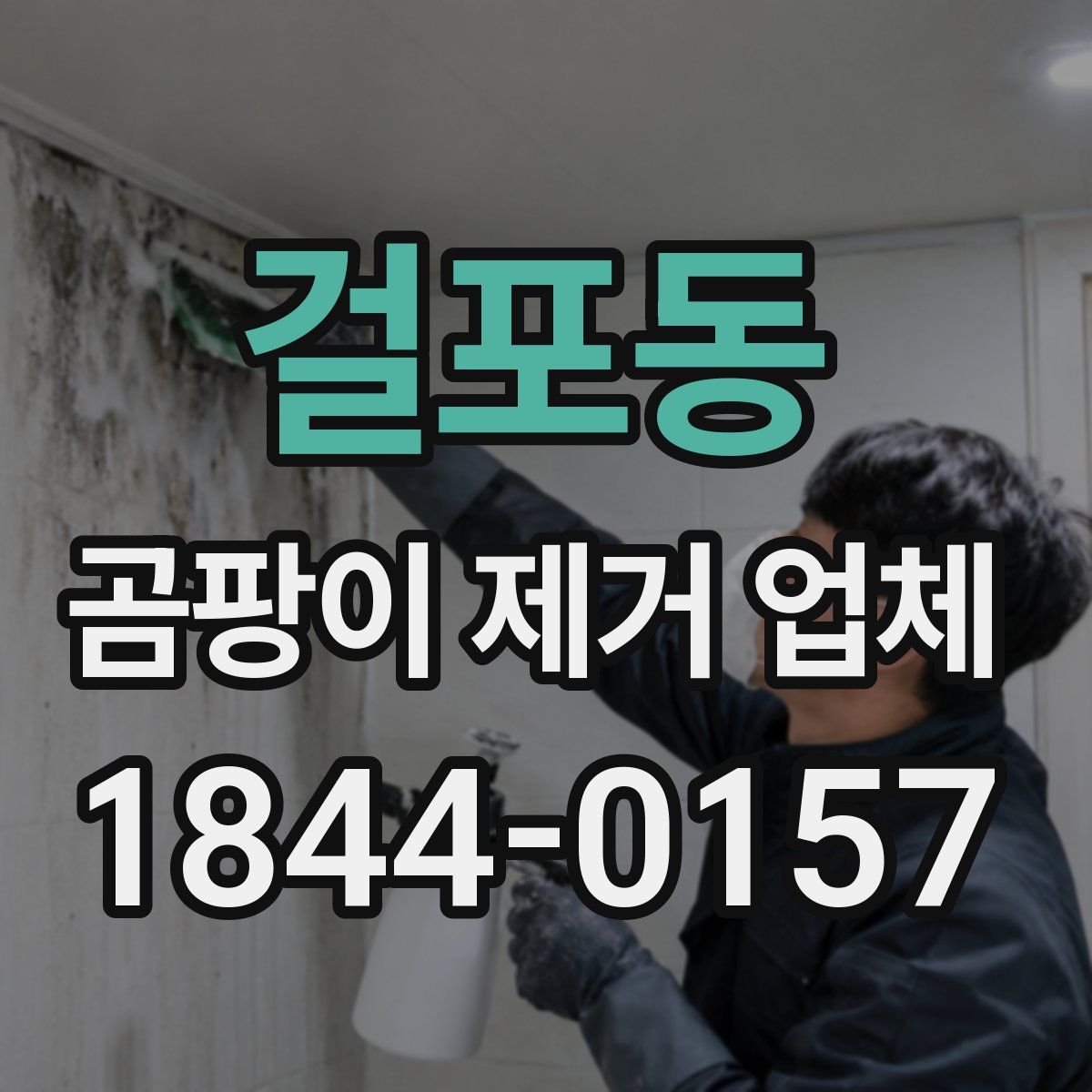 걸포동 곰팡이 제거 업체