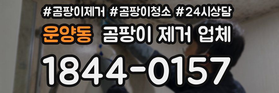 운양동 곰팡이 제거 업체