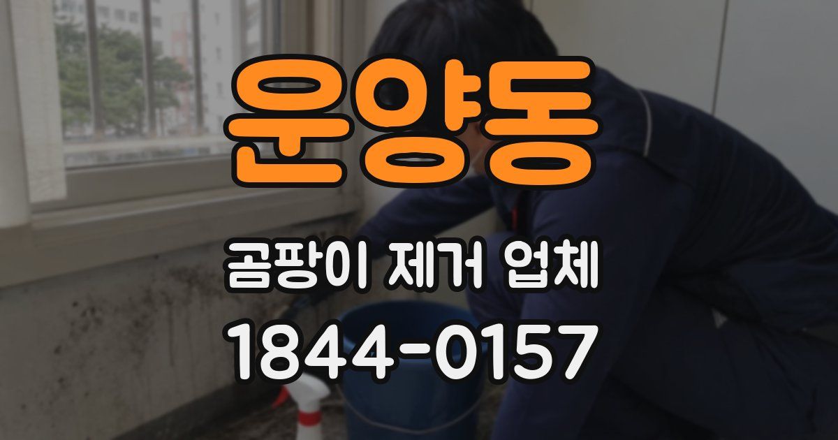 운양동 곰팡이 제거 업체