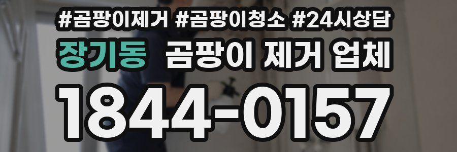 장기동 곰팡이 제거 업체