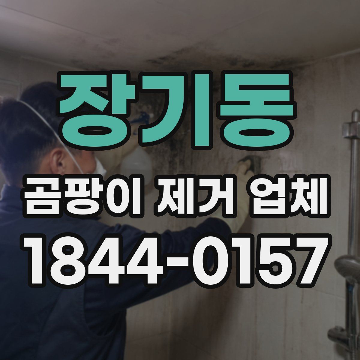 장기동 곰팡이 제거 업체