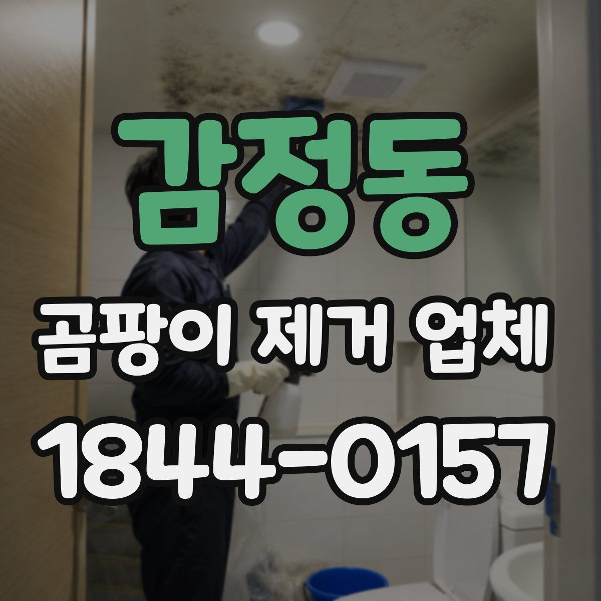 감정동 곰팡이 제거 업체
