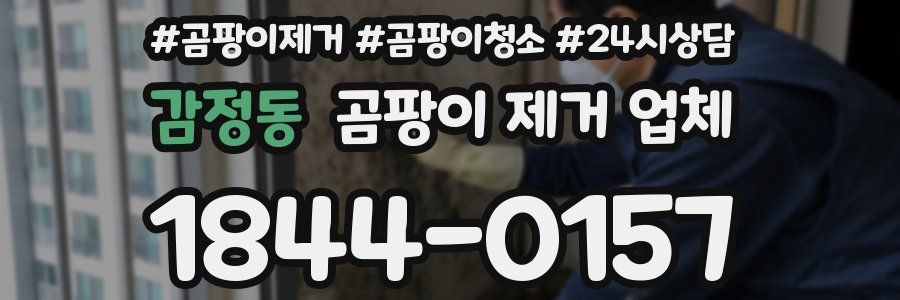 감정동 곰팡이 제거 업체