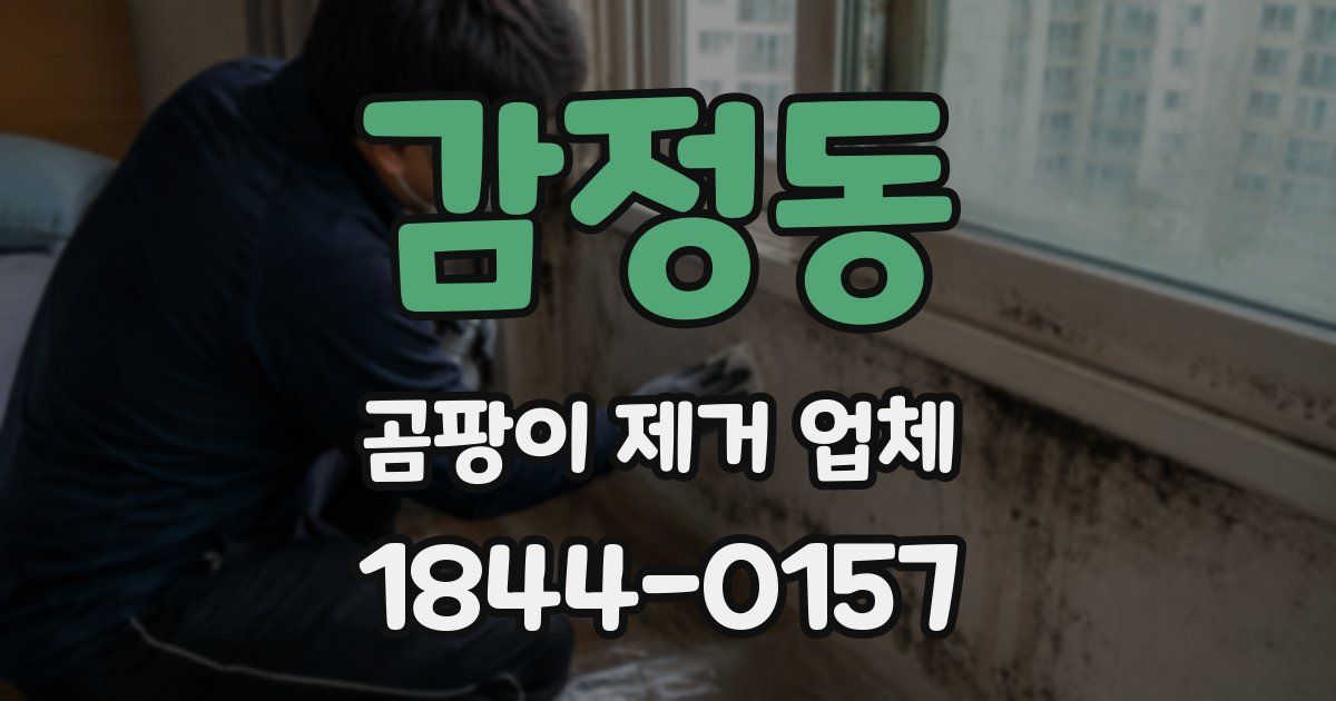 감정동 곰팡이 제거 업체