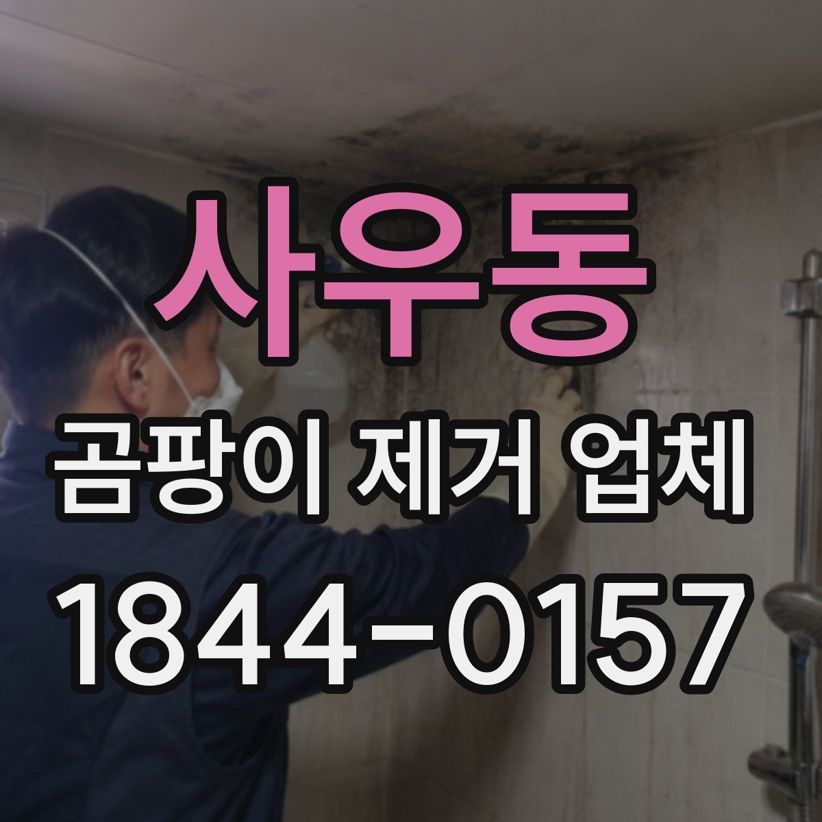 사우동 곰팡이 제거 업체