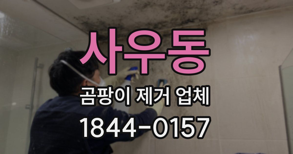 사우동 곰팡이 제거 업체