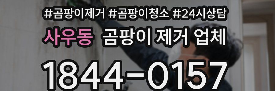 사우동 곰팡이 제거 업체