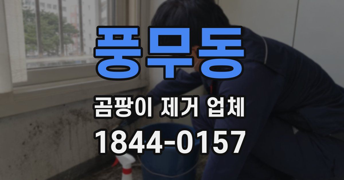 풍무동 곰팡이 제거 업체