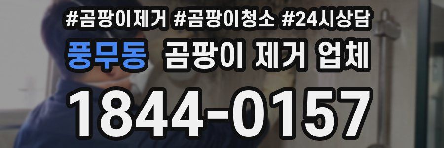 풍무동 곰팡이 제거 업체