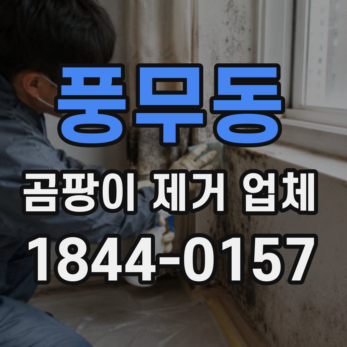 풍무동 곰팡이 제거 업체