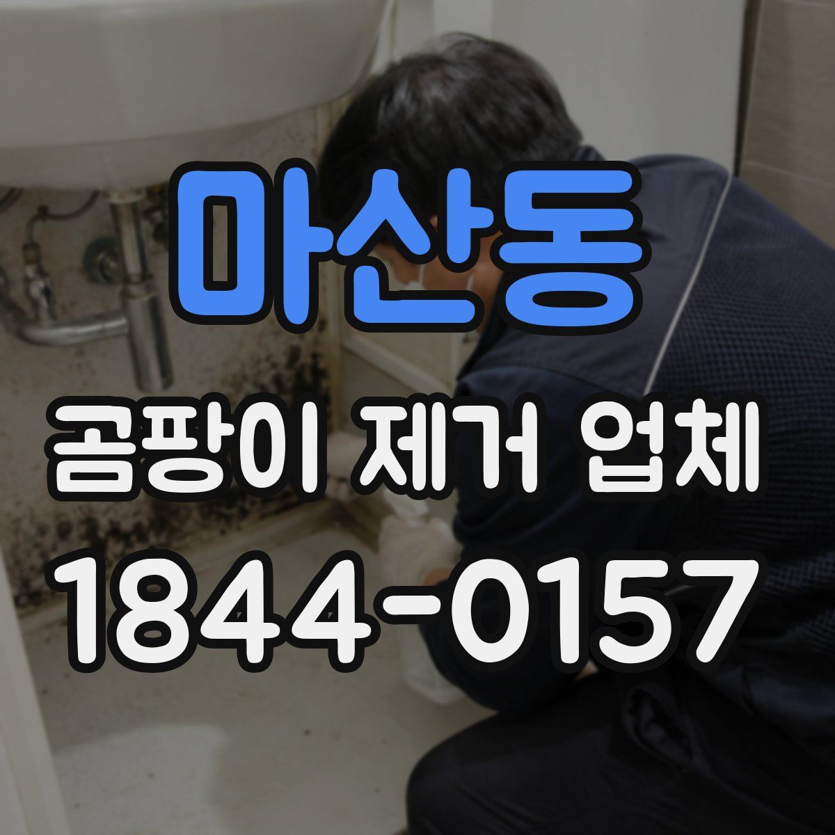 마산동 곰팡이 제거 업체