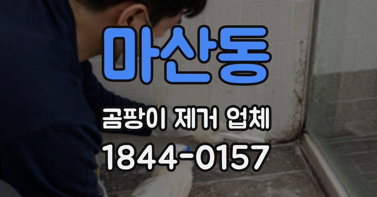 마산동 곰팡이 제거 업체