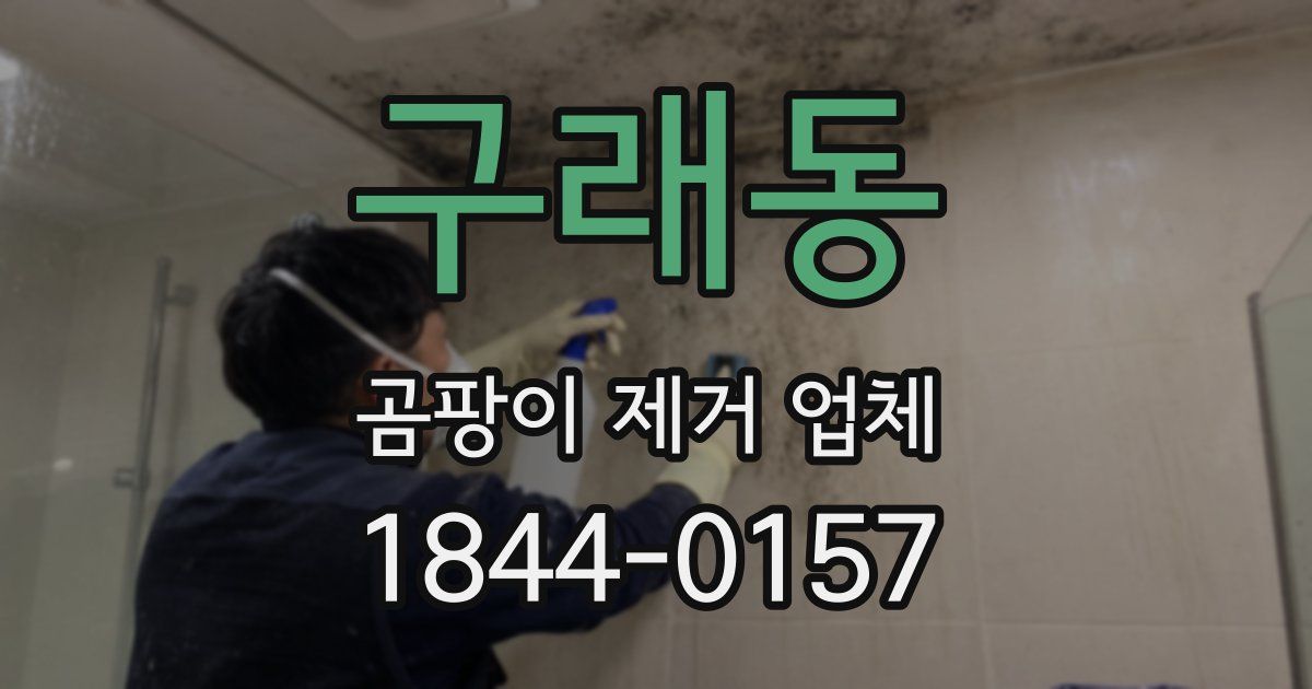 구래동 곰팡이 제거 업체